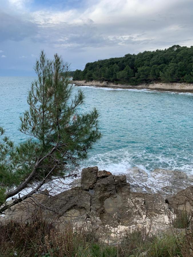 Apartment Creo Loborika Marčana Εξωτερικό φωτογραφία